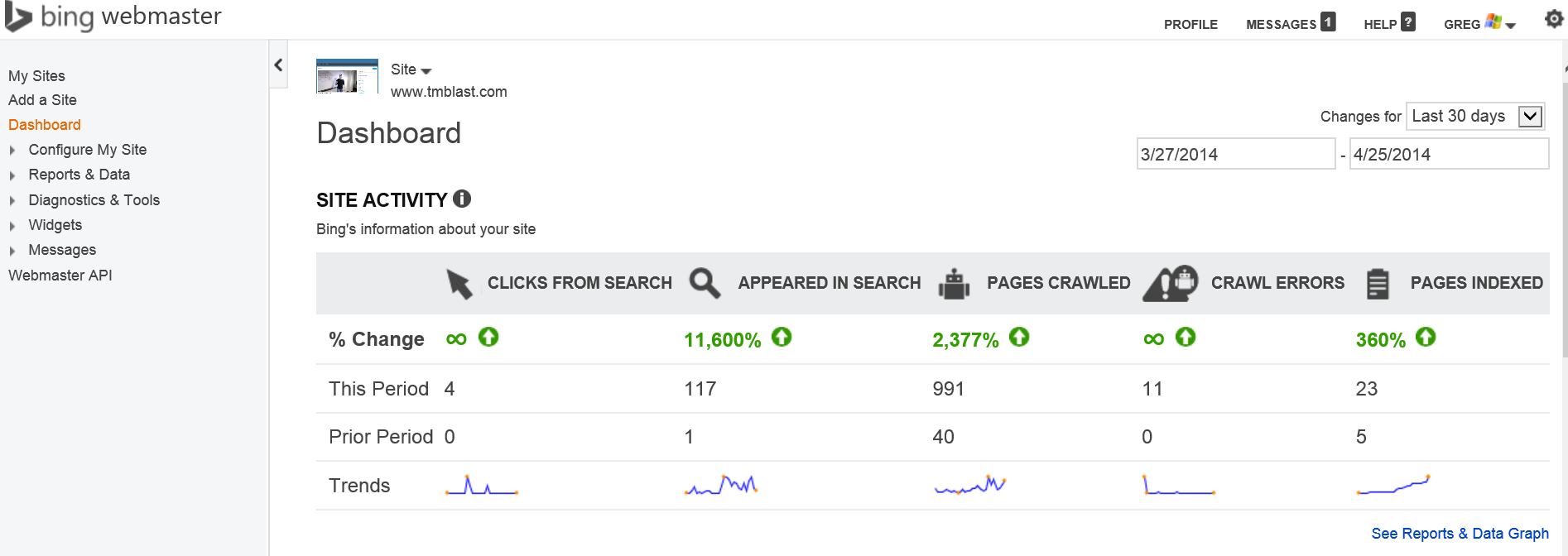 Bing Webmaster Tools Dashboard TM Blast