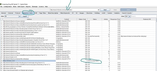 SEO Technical Analysis