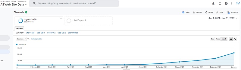 20k monthly seo sessions